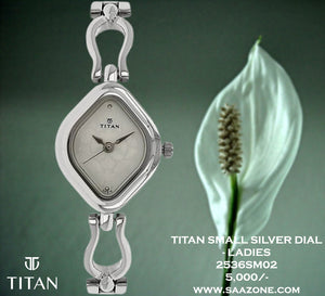 Titan Silver Dial for Ladies 2536SM02