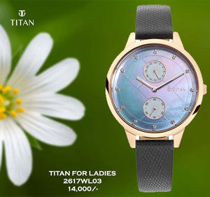 Titan Sparkle for Ladies 2617WL03