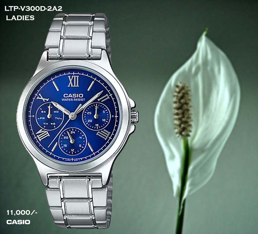 Casio Exclusive Ladies Steel Belt LTP-V300D-2A2