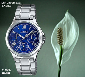 Casio Exclusive Ladies Steel Belt LTP-V300D-2A2
