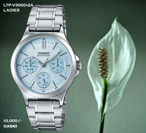 Casio Exclusive Ladies Steel Belt LTP-V300D-2A
